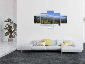 Obraz - ośnieżone góry zimą (125x70 cm)
