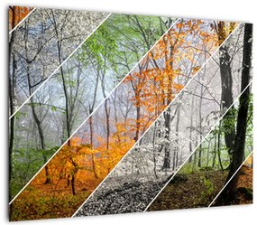 Obraz - Zmieniające się pory roku (70x50 cm)