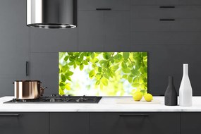 Panel Kuchenny Liście Natura Roślina