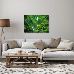 Obraz na szkle - Wodospady Madakaripura, Jawa Wschodnia, Indonezja (70x50 cm)