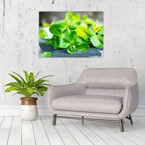 Obraz na szkle mięty (70x50 cm)