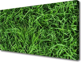 Zdjęcie na płótnie Soczysta Zielona Trawa