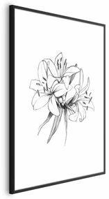 Plakat Rysowane kwiaty 29,7x42 cm z ramą czarną z marginesem ARTGEIST B