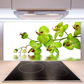 Dekor Szklany do Kuchni Kolorowy Ogród Botaniczny