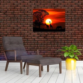 Obraz na szkle - Sylwetki zwierząt o zachodzie słońca (70x50 cm)