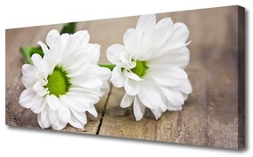 Obraz na Płótnie Kwiaty Roślina Natura