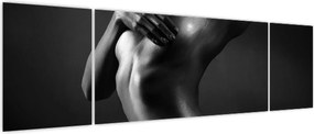 Obraz - Nagie kobiety (170x50 cm)