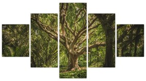 Obraz drzewa (125x70 cm)
