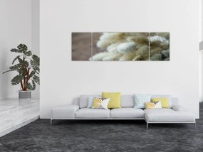 Obraz - Zajęczy ogonek (170x50 cm)