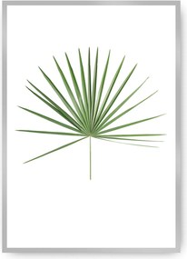 Plakat Tropical Leaf Green