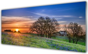 Panel Szklany Słoneczna Polana o Poranku