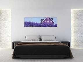 Obraz lawendowego pola (170x50 cm)