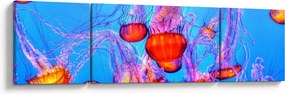 Obraz meduz w morzu (170x50 cm)