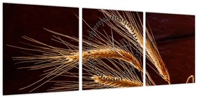 Obraz - Fragment kłosa żyta (z zegarem) (90x30 cm)