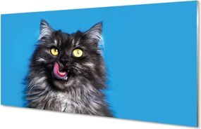 Panel szklany do Kuchni Smakowita Chwila Kota