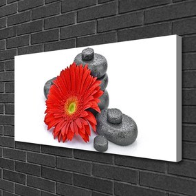 Obraz Canvas Kwiaty Czerwona Gerbera