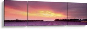 Obraz - Pole lawendy (170x50 cm)