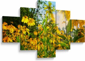 Obraz żółtych kwiatów (125x70 cm)