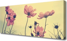 Obraz canvas Delikatność Letnich Kwiatów