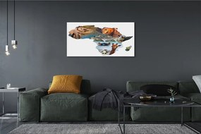 Duży obraz na płótnie Zebra, Żyrafa i Tygrys