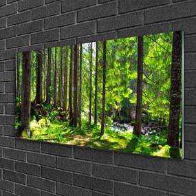 Obraz Akrylowy Las Drzewa Roślina Natura