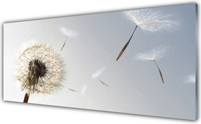 Panel Szklany do Kuchni Ulotne Nasiona Dmuchawca