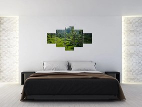 Obraz tarasów ryżowych Tegalalang, Bali (125x70 cm)