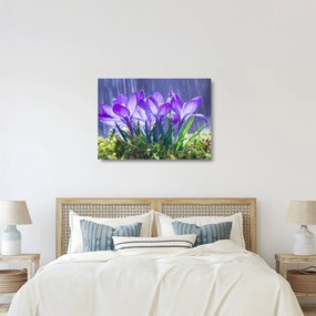 Obraz na szkle - kwiaty w deszczu (70x50 cm)
