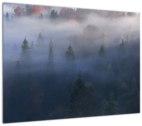Obraz - Las we mgle, Karpaty, Ukraina (70x50 cm)