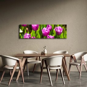 Obraz tulipanów na łące (170x50 cm)