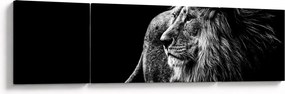Obraz - Lew (170x50 cm)