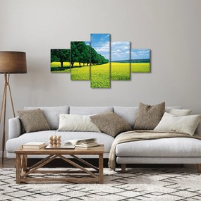 Obraz pola z aleją (125x70 cm)