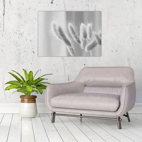 Obraz na szkle - Trawa z króliczym ogonkiem (70x50 cm)