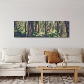 Obraz ścieżki pomiędzy drzewami (170x50 cm)
