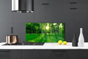 Panel Kuchenny Spokojna Aleja W Parku