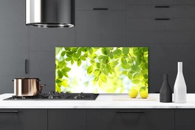 Szkło do Kuchni na Ścianę Świeże Zielone Liście