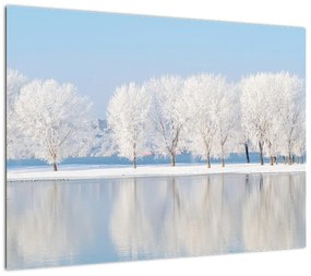 Obraz na szkle zimowego krajobrazu (70x50 cm)