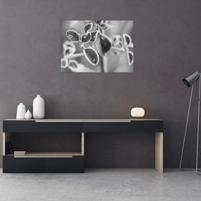 Obraz na szkle - Przyroda jesienią (70x50 cm)