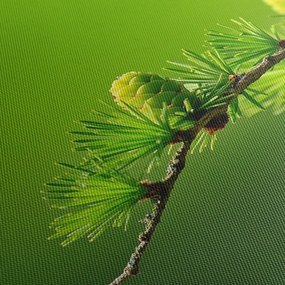 Obraz zielonej szyszki (z zegarem) (90x30 cm)