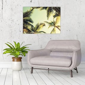 Obraz na szkle z palmami kokosowymi (70x50 cm)
