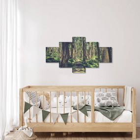 Obraz ścieżki pomiędzy drzewami (125x70 cm)