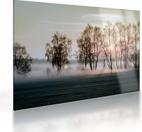 Obraz na szkle - Poranna suchość (70x50 cm)