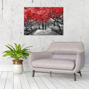 Obraz - Czerwone drzewa, Central Park, New York (70x50 cm)