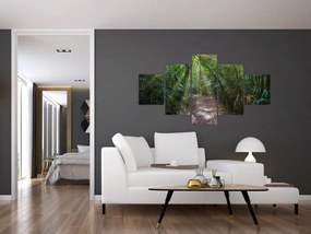 Obraz - Promienie słońca w dżungli (125x70 cm)