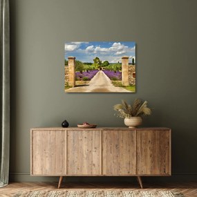 Obraz na szkle - Lawendowe ścieżki (70x50 cm)