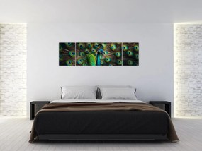 Obraz – Paw (170x50 cm)