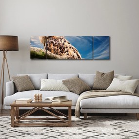 Obraz - Sowa (170x50 cm)