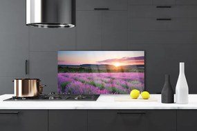 Panel Szklany Lawendowy Zmierzch na Polu