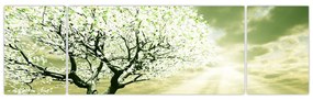 Obraz drzewa na łące (170x50 cm)
