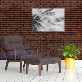 Obraz - Mlecz (70x50 cm)